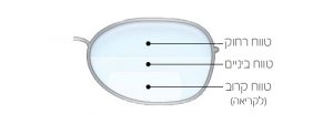 עדשות מולטיפוקל - 3 איזורי ראיה